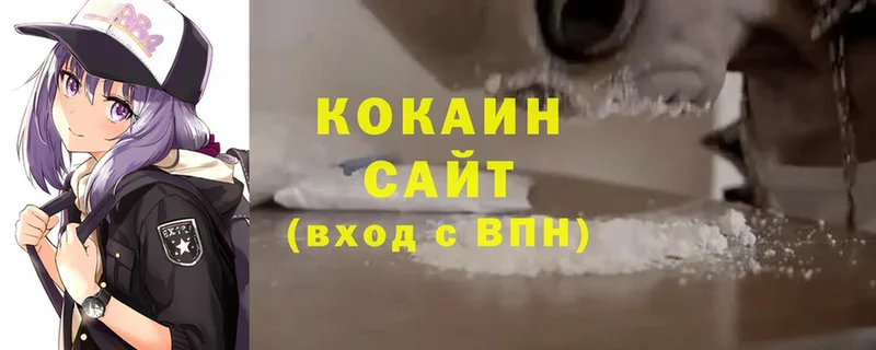 Cocaine Fish Scale  Великий Устюг 