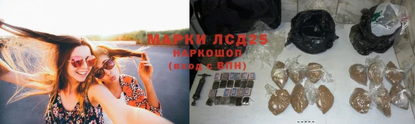 прущая мука Пересвет