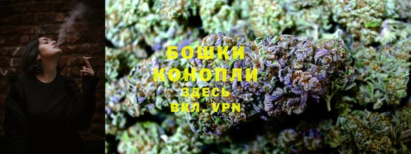 прущая мука Пересвет