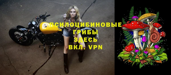 соль курить ск Пестово