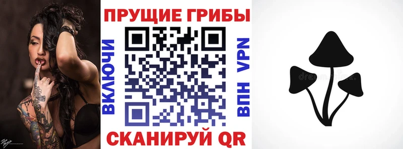 Псилоцибиновые грибы мухоморы  Великий Устюг 