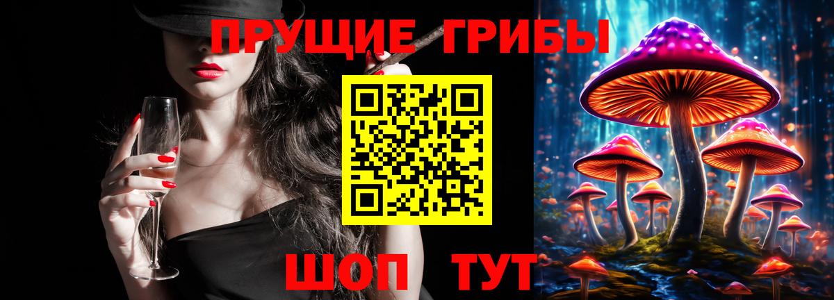 Псилоцибиновые грибы Psilocybine cubensis Великий Устюг