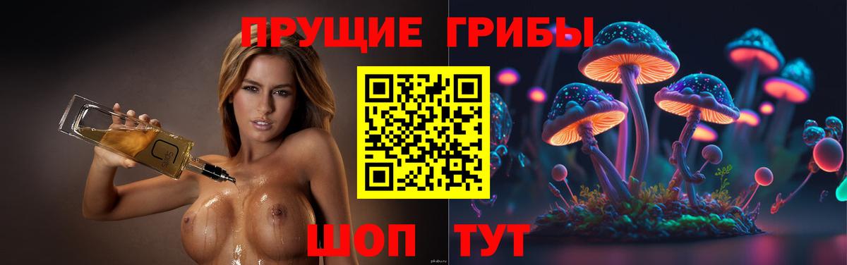 Великий Устюг  Псилоцибиновые грибы прущие грибы  Вход с VPN  Галлюциногенные грибы ЛСД 
